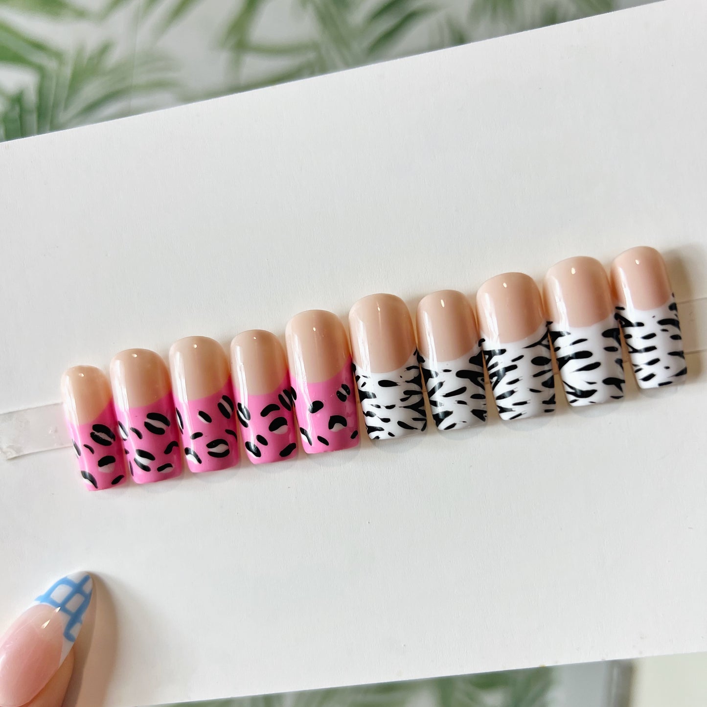 Safari Queen Acrylic French Tip Press on nail